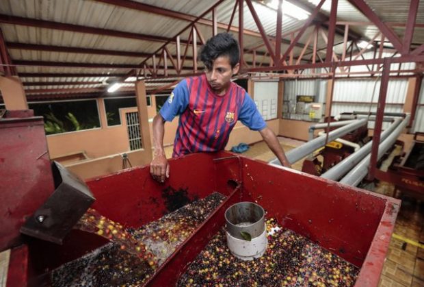 Martin López, at a wet mill at La Revancha Coffee Estate in Matagalpa, Nicaragua. Photo by Oscar Leiva for CRS.