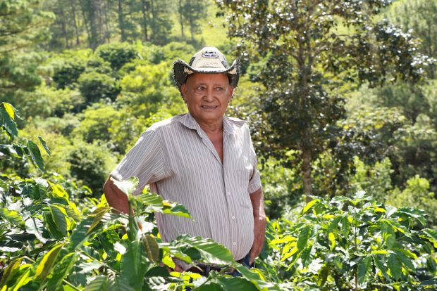 Don Napolean is a producer from the Guama Danta region. Images courtesy of Genuine Origin Coffee Project. 
