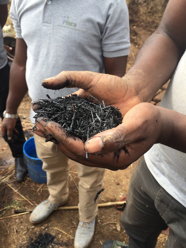 biochar coffee 