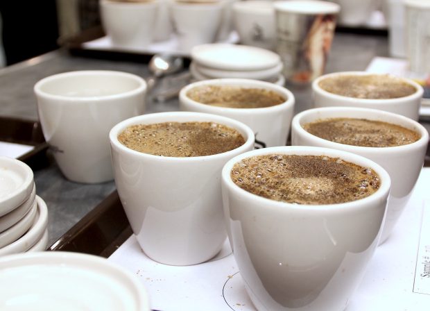 coffee cupping tasting professional