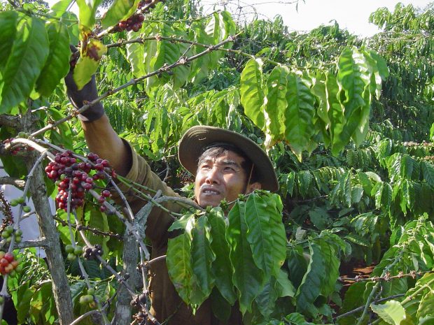 Focusing on Farmworkers at the Global Specialty Coffee ExpoDaily Coffee ...