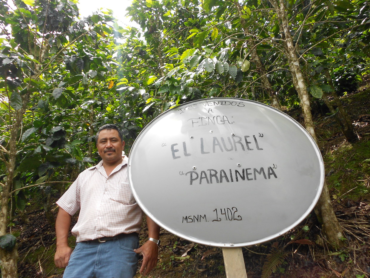 Vivid Loves Honduras Mug - 100% of profit go toward fund to rebuild homes  of coffee farmers in Honduras — Vivid Coffee Roasters