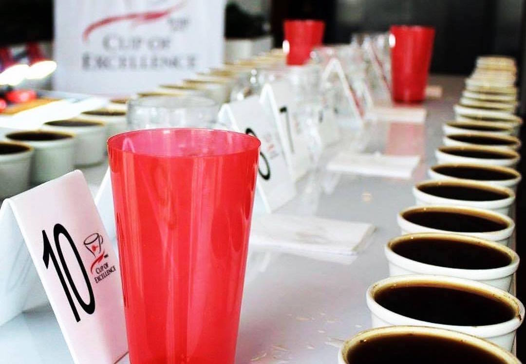 Quality Shines at Peru’s First Cup of Excellence Competition