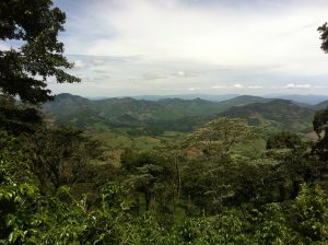 National Coffee Sustainability Platform Launches in NicaraguaDaily ...