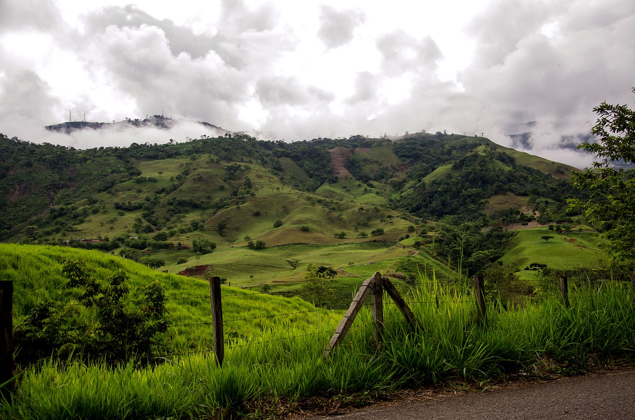 Colombian coffeelands