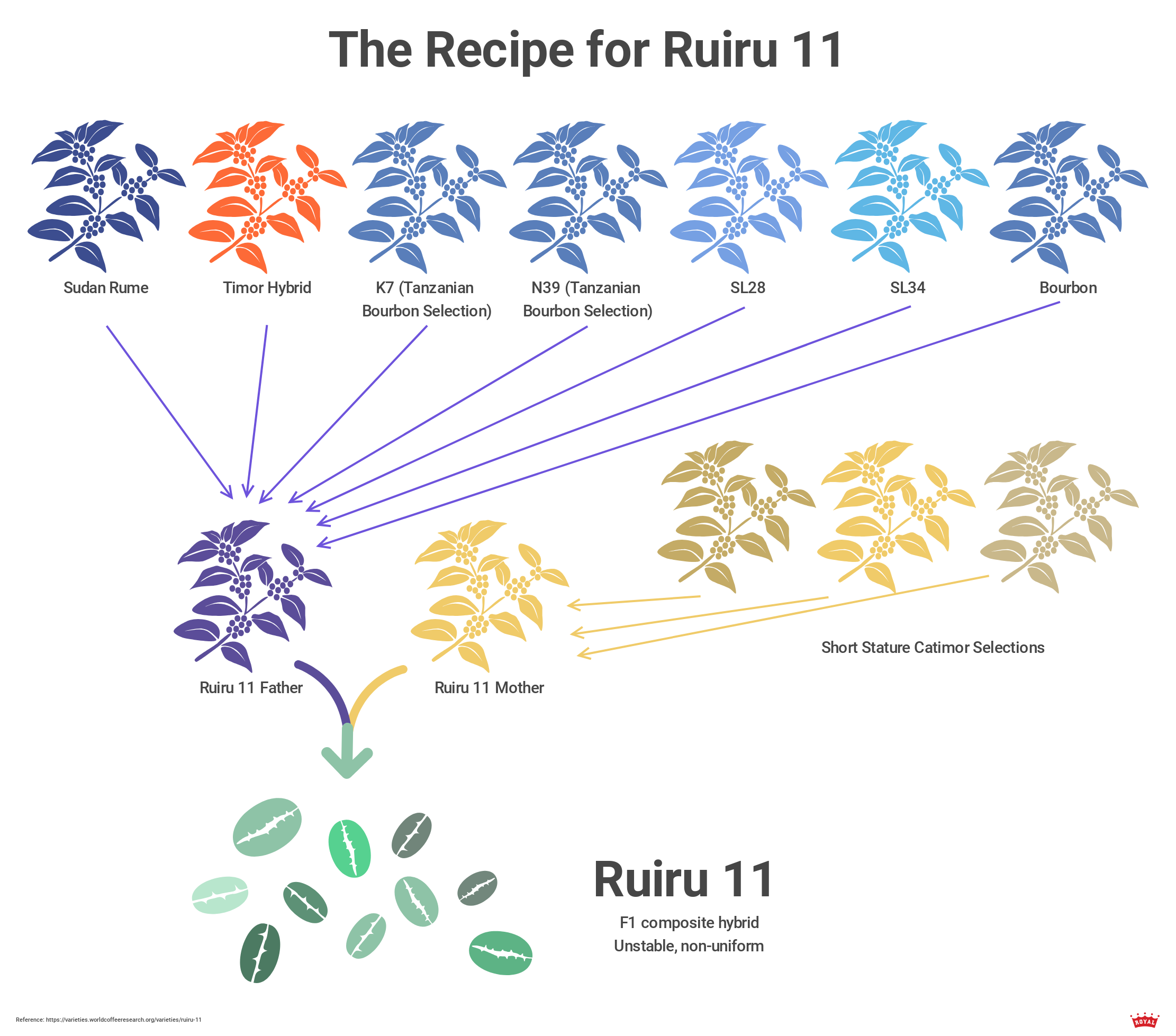 The Coffee Roaster s Complete Guide to Coffee Varieties and