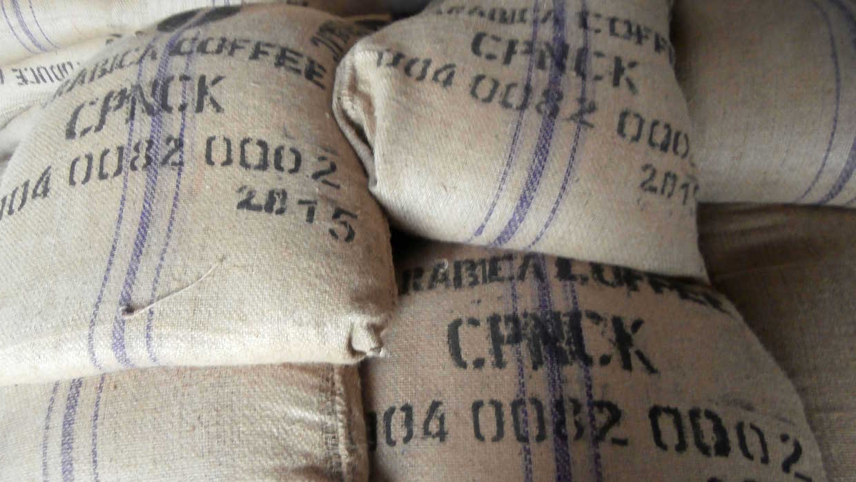 CPNCK coffee Kivu