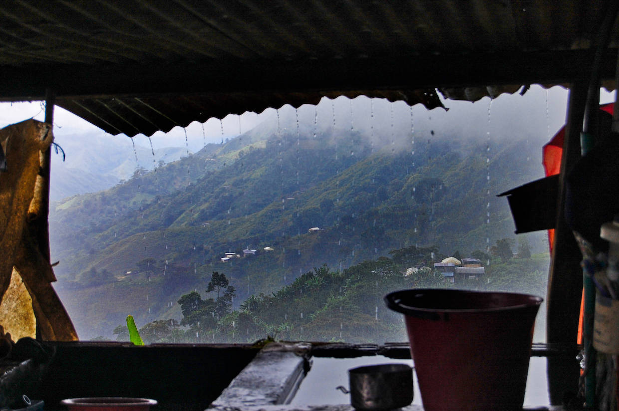 Cedro Alto coffee Colombia