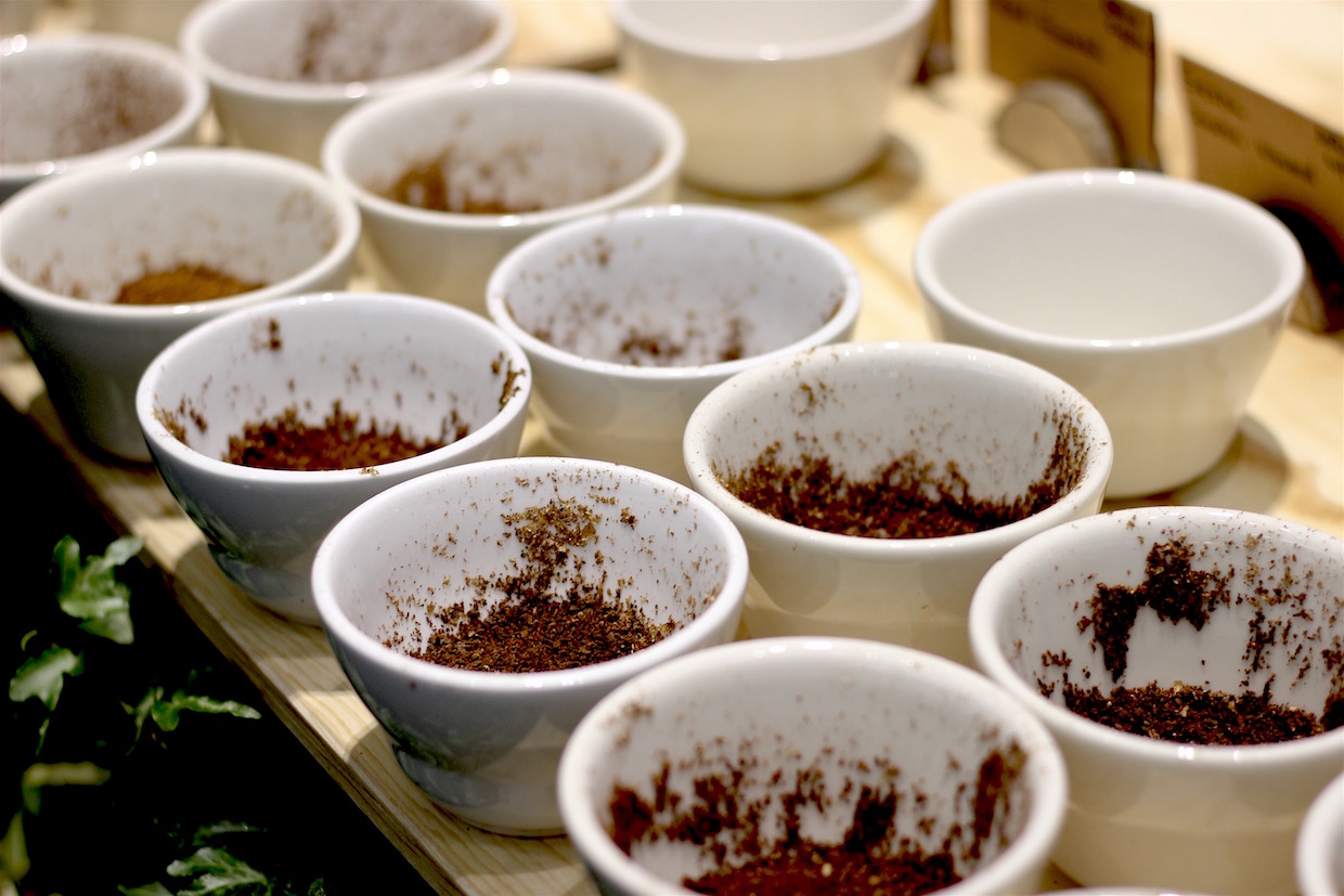 Coffee_Cupping