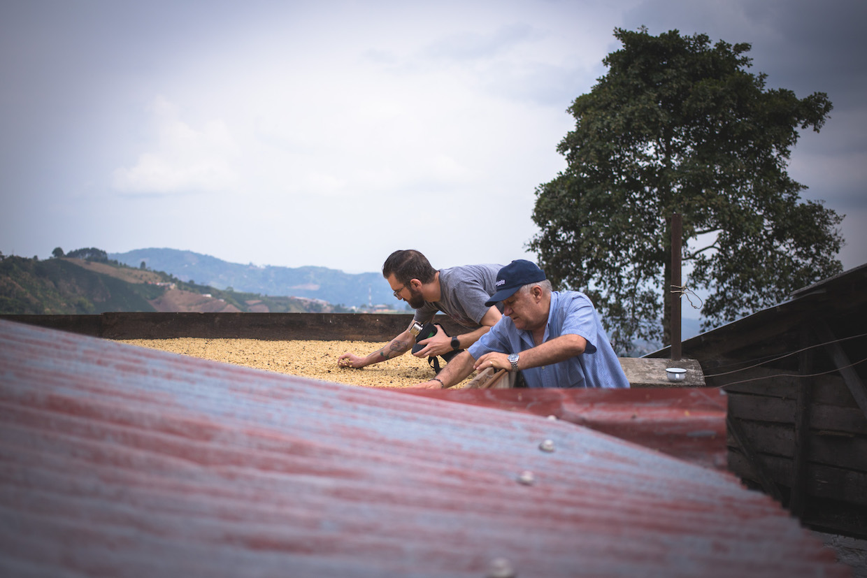 The coffee farm in Colombia 