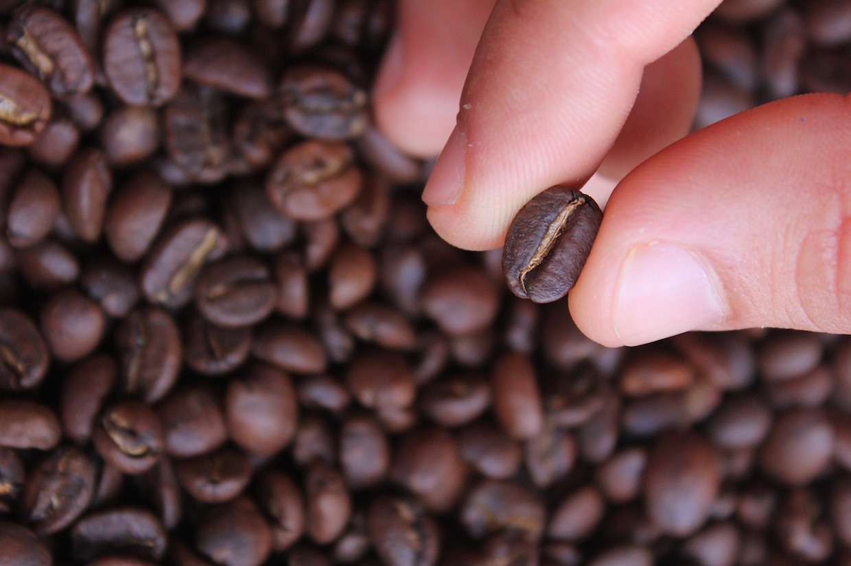 roasted coffee beans