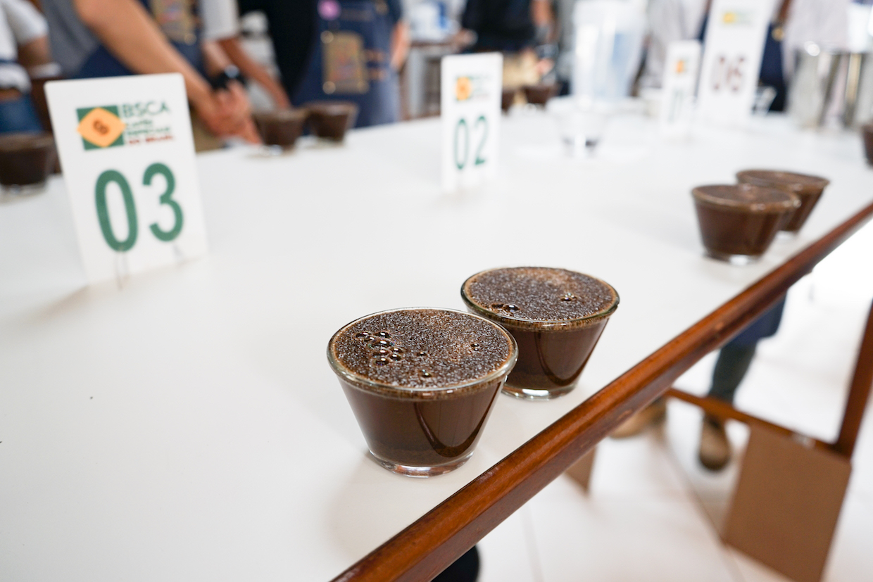 calibration cupping
