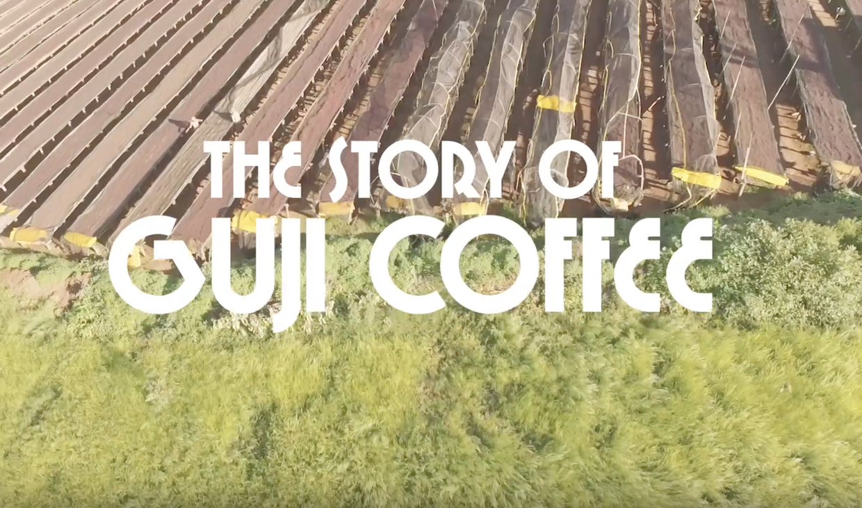 Guji Coffee Story