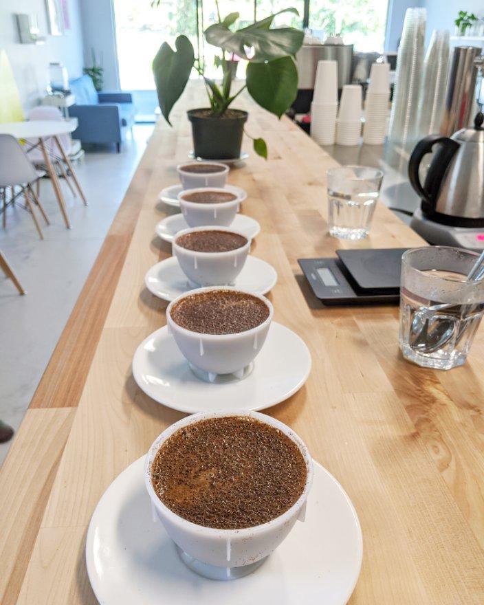 coffee cupping at Elevation Northdale