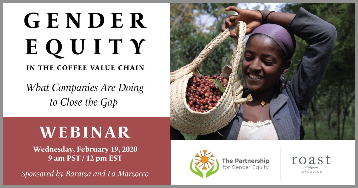 gender equity webinar info