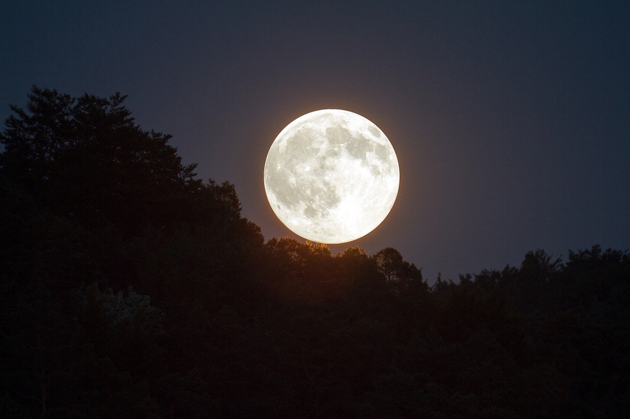 the moon over trees