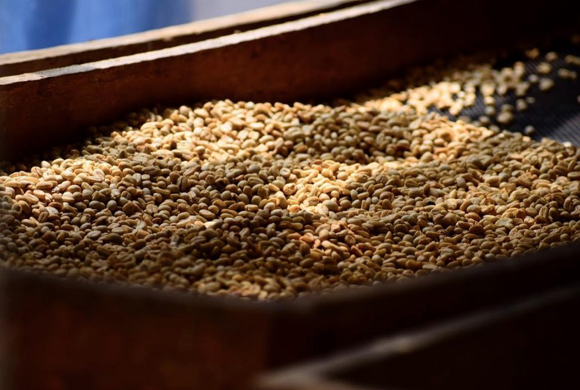 coffee parchment sorting