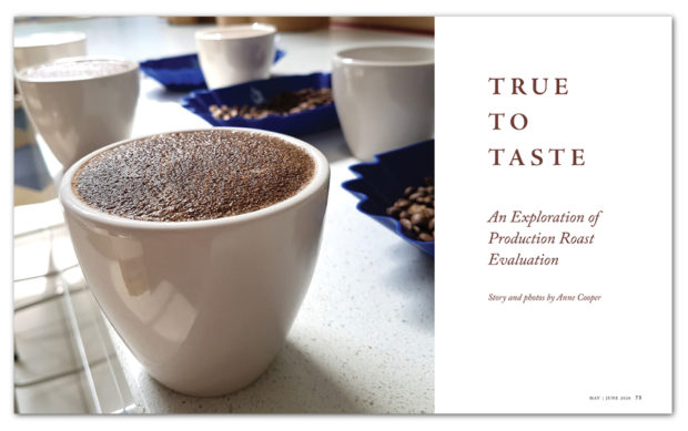 True to Taste: An Exploration of Production Roast EvaluationDaily ...