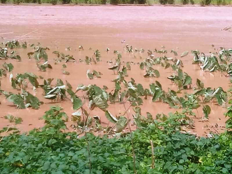 © Raw Material – Flooded crops in Shyira sector