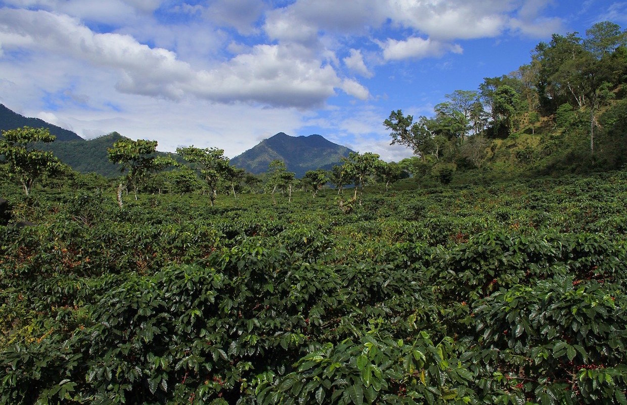 Guatemala landscape