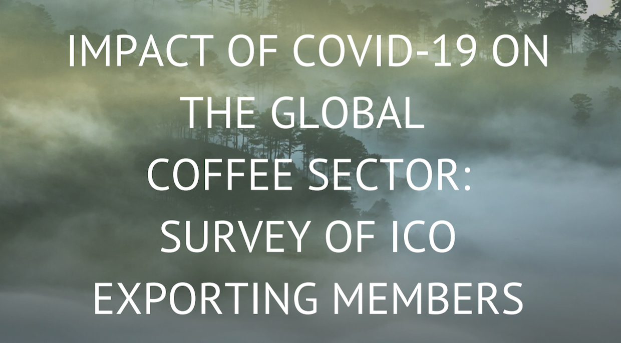 ICO Impact report