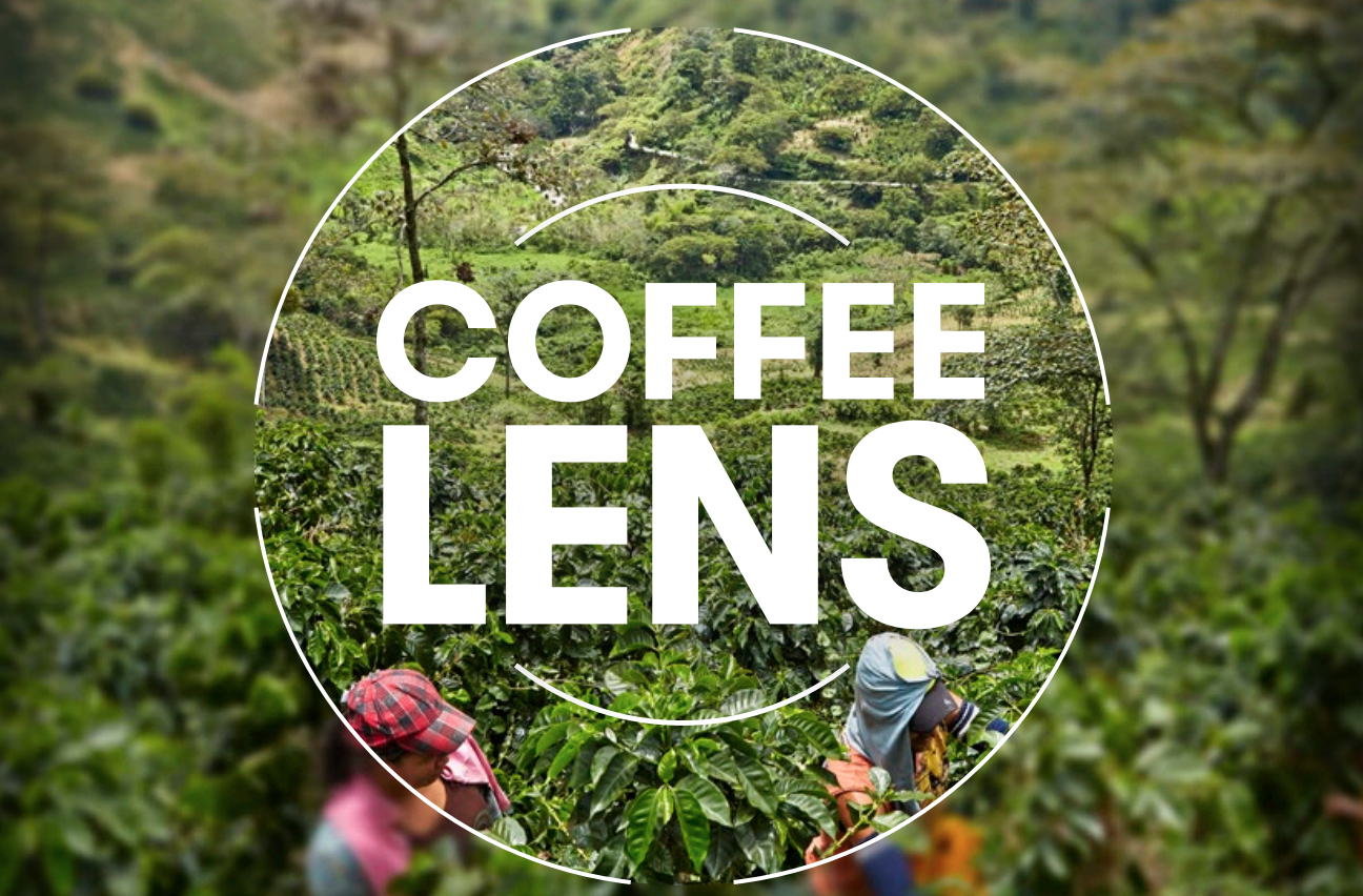 Olam Coffee LENS