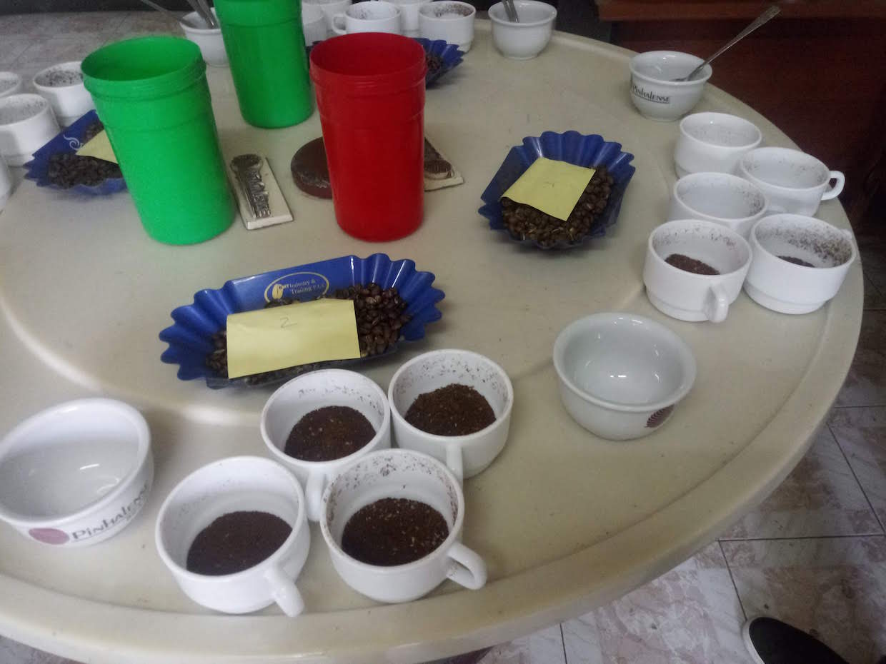 coffee cupping