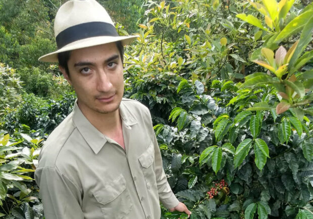 climate change colombian coffee