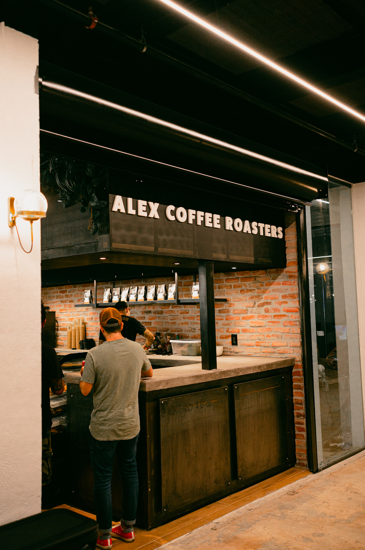 Tostador de café Alex 3