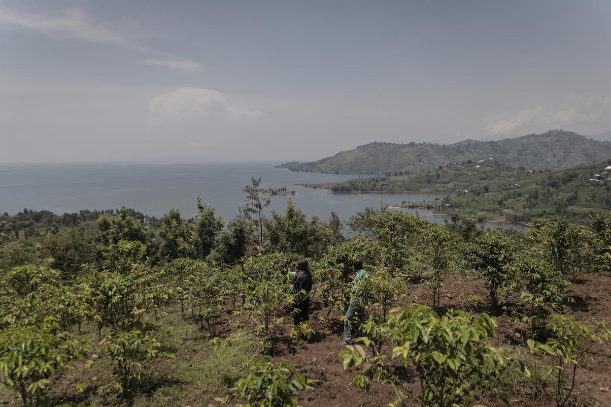 DRC Congo coffee Lake Kivu 3