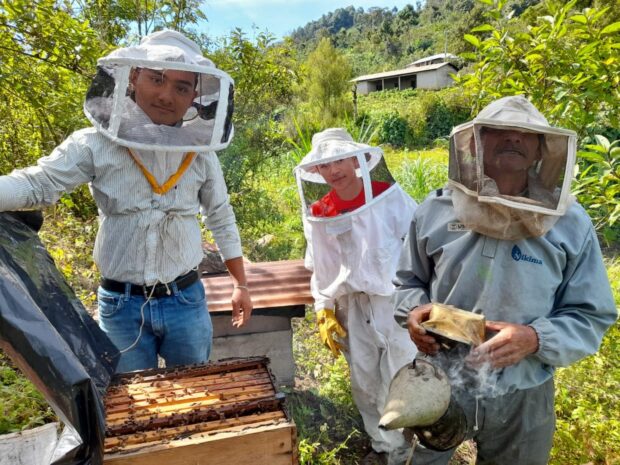 Beekeepers of ACODIHUE co-op check in on their hives
