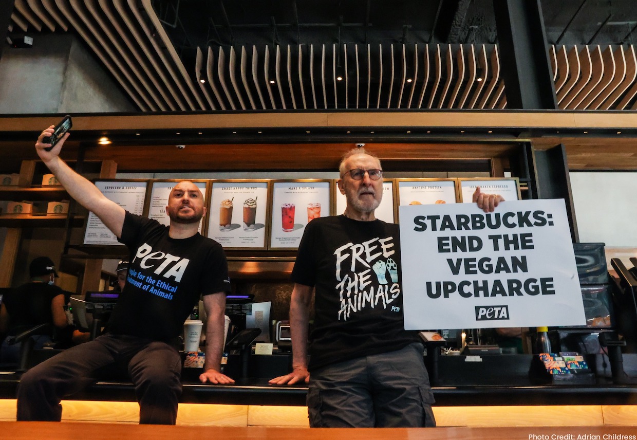‘Succession’ Actor James Cromwell Leads Milk Protest at Starbucks