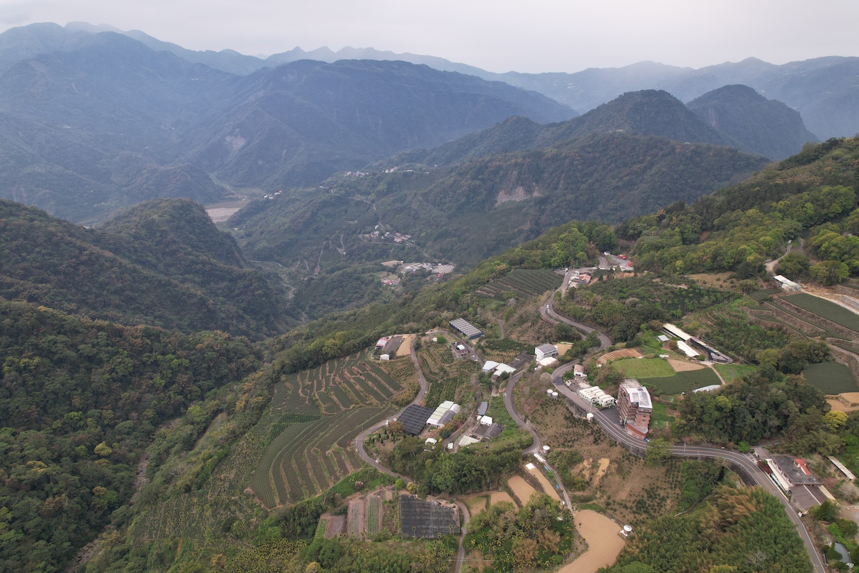 Taiwan coffee farms