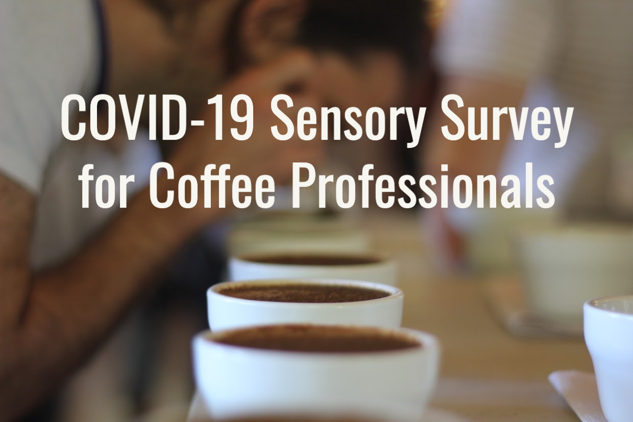 COVID-19 Sensory Survey for Coffee Professionals