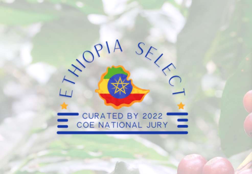 Ethiopia Select Auction