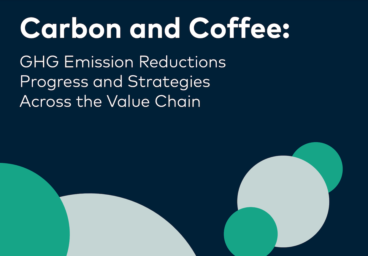 Káva a uhlík