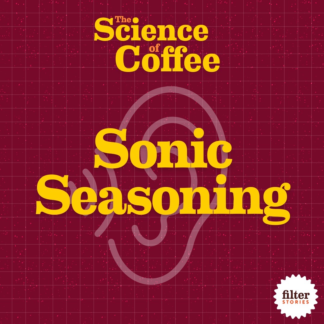 The Science of Coffee – Sonic Seasoning