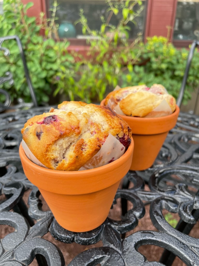 Flower pot muffins at Blossom Cafe. Photo courtesy of Michelle Buckman / Blossom Cafe. 