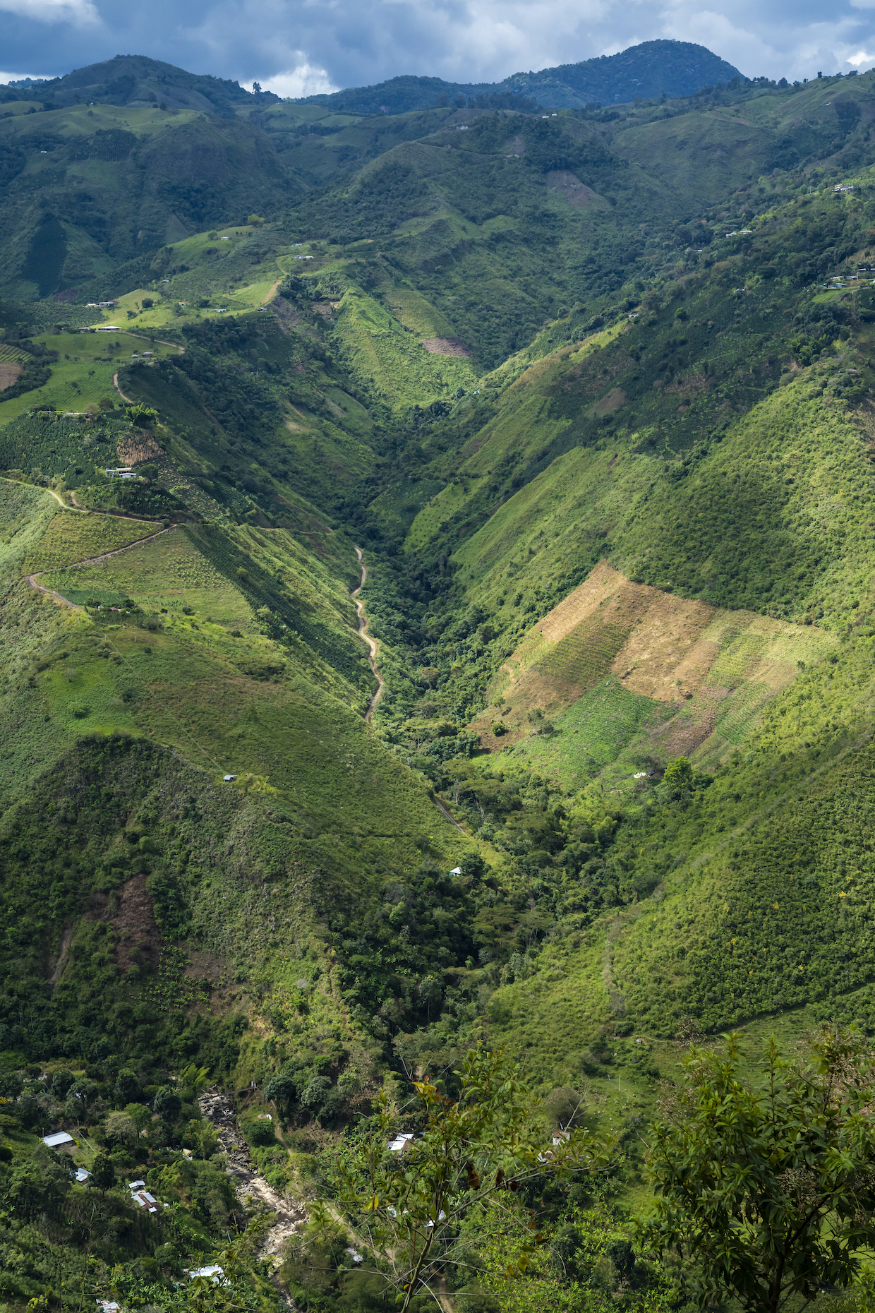 We Belong: An Anthology of Colombian Women Coffee Farmers: Bawot