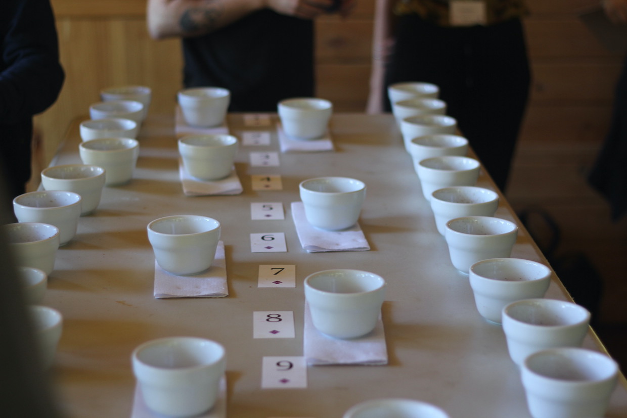 Nordic Approach cupping