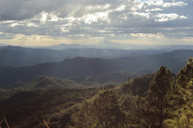 El Salvador coffee lands