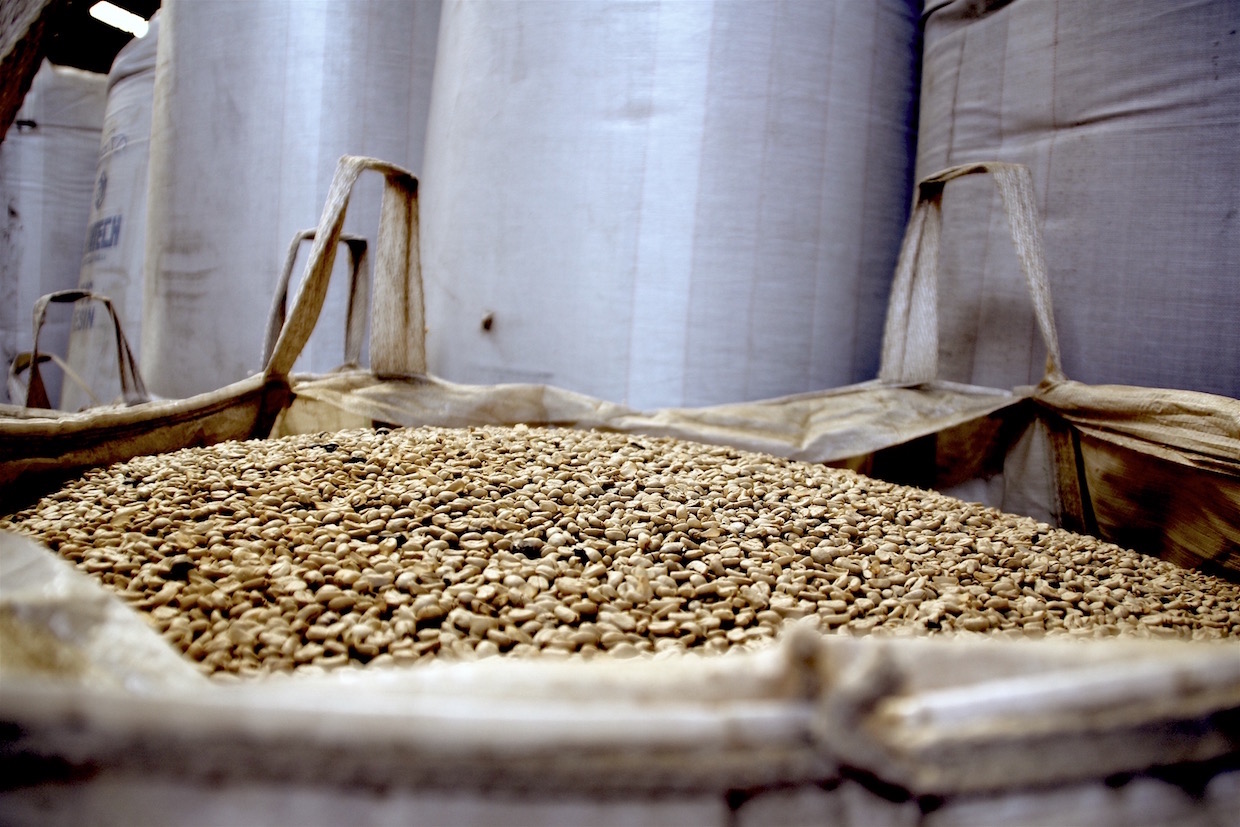 The process of coffee production: from seed to cup - New Food Magazine