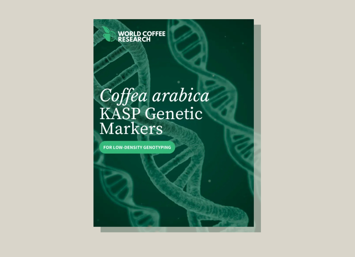 World Coffee Research