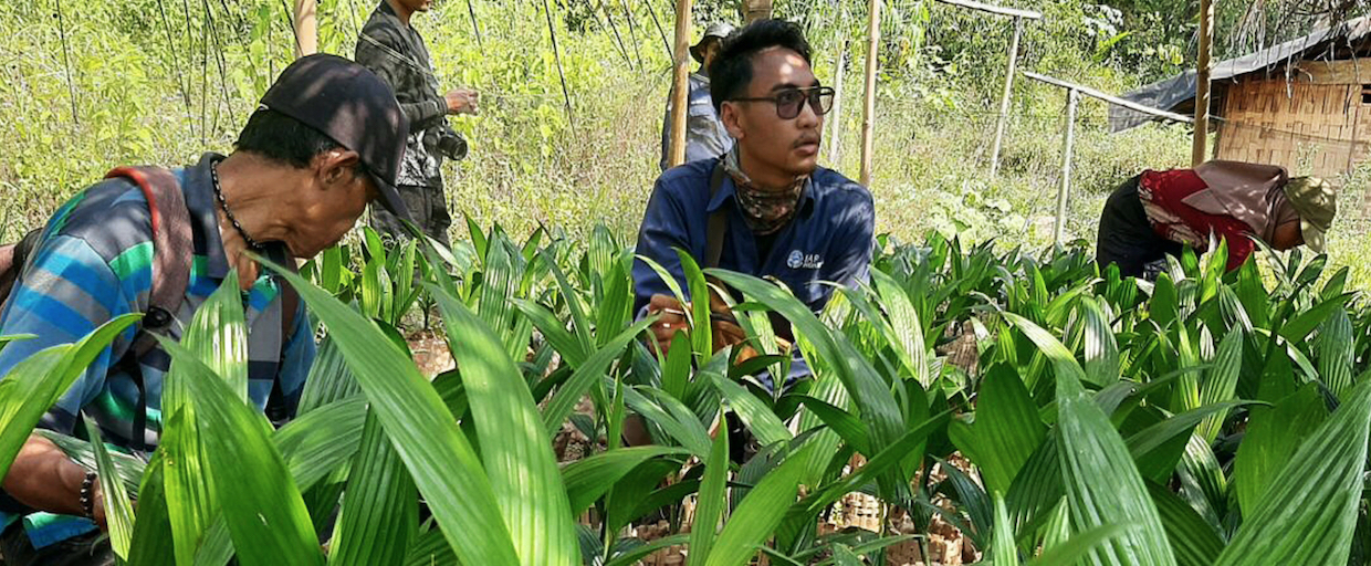 sumatra farmers