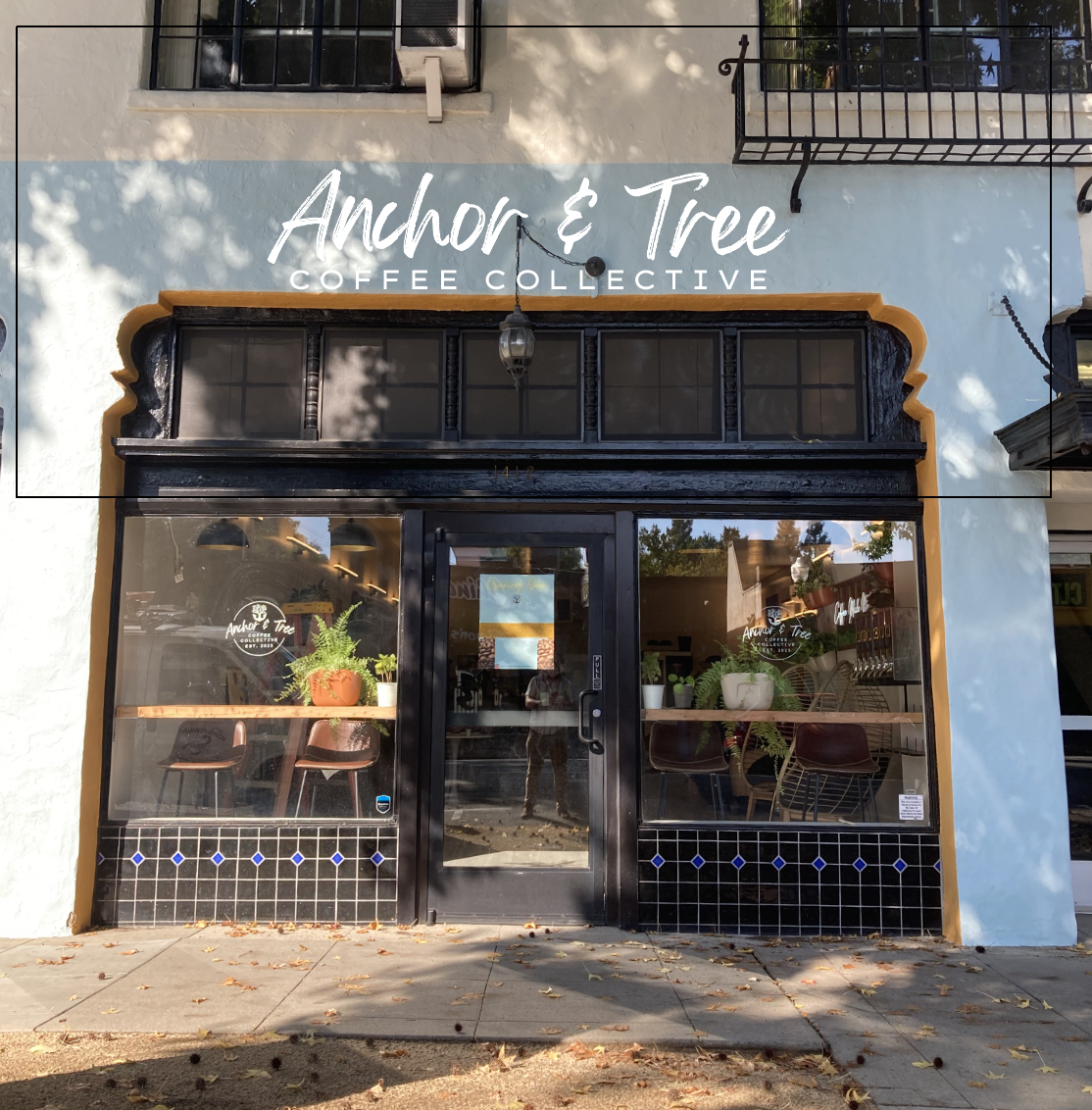 Anchor and Tree Coffee Sacramento shop