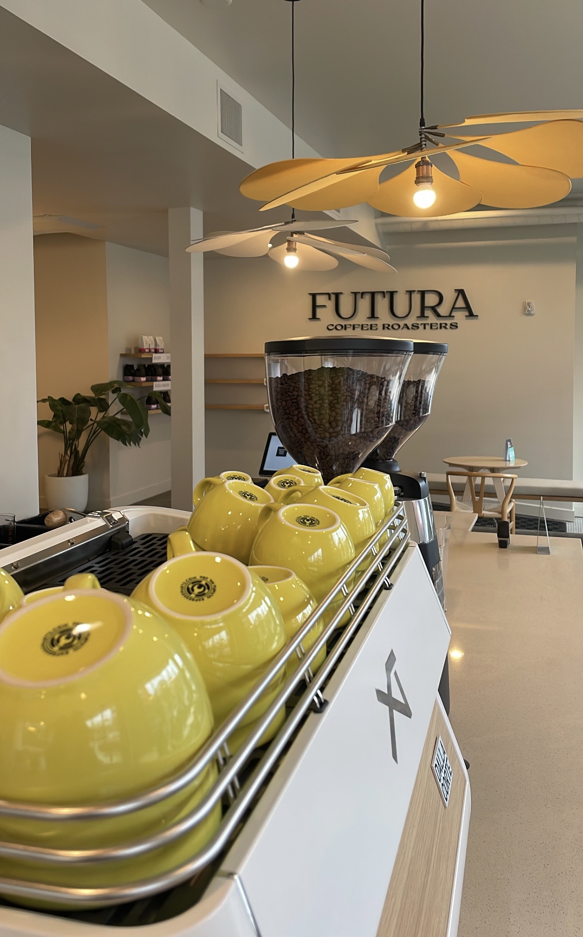 Futura Coffee Roasters Portland cafe