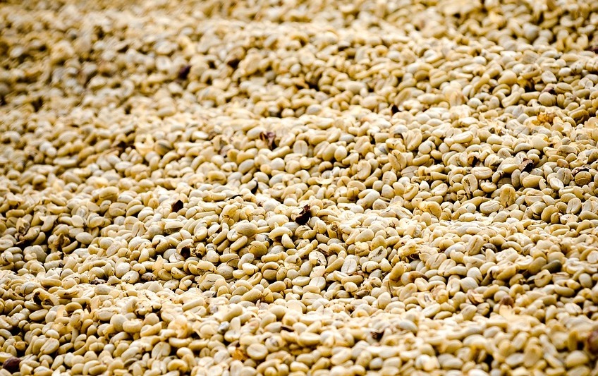 coffee drying parchment