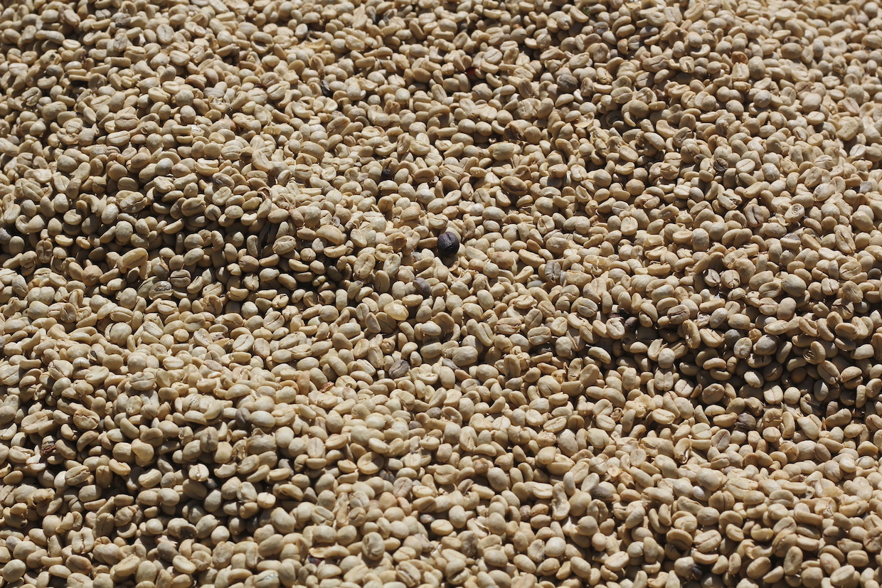 coffee parchment