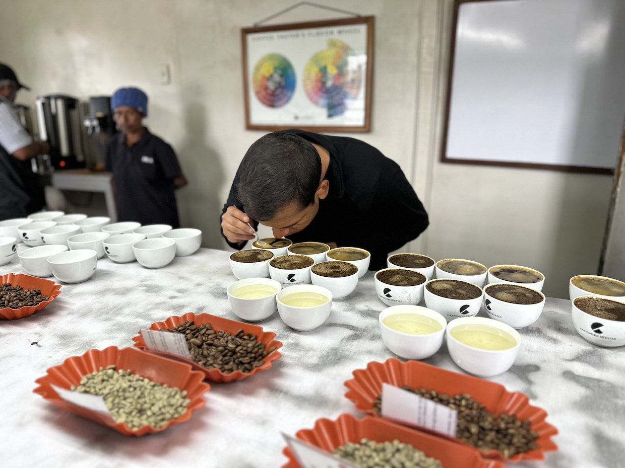 Benchmark-Coffee-Traders-coffee-cupping
