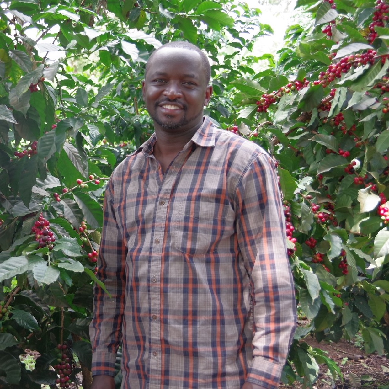 Francis Kungu Jamii Coffee